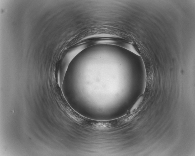 X0000087510566200705040952