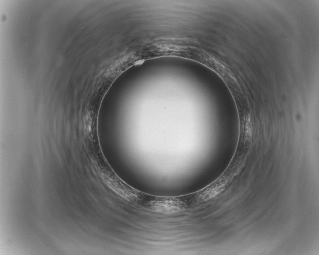 X0000087510567200705040952