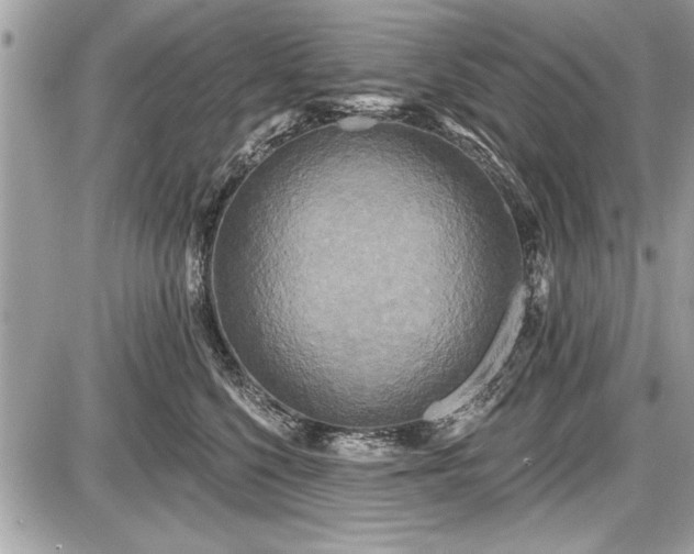 X0000087510568200705040952