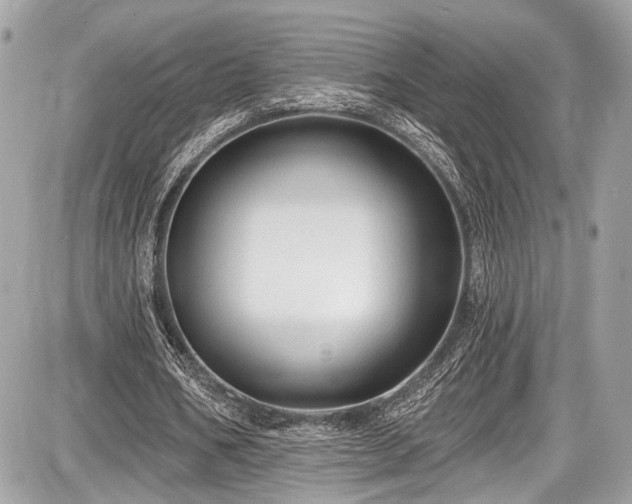 X0000087510578200705040951