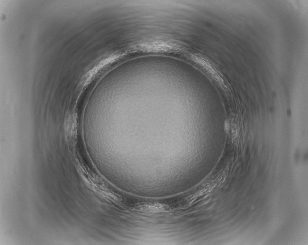 X0000087510583200705040951
