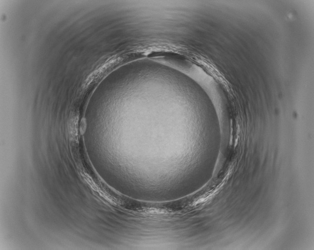 X0000087510585200705040951