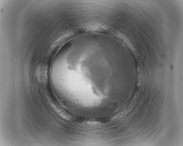 X0000087510590200705040951