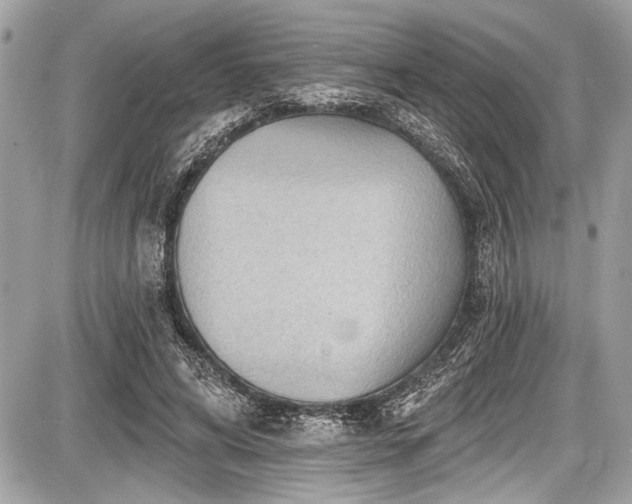 X0000087510592200705040951