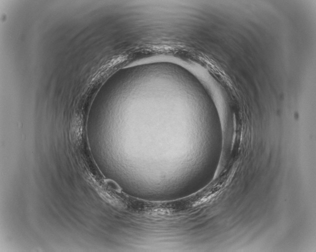 X0000087510593200705040951