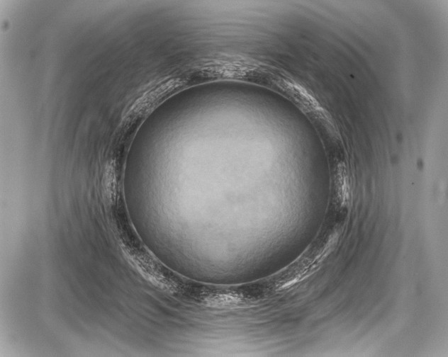 X0000087510594200705040951