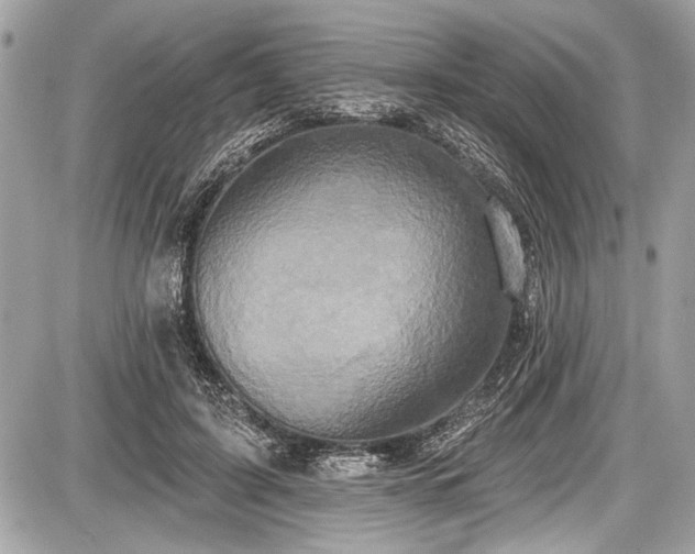 X0000087510595200705040951