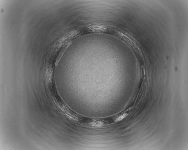 X0000087510604200705040951