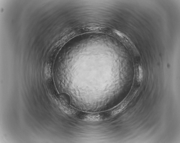 X0000087510606200705040951