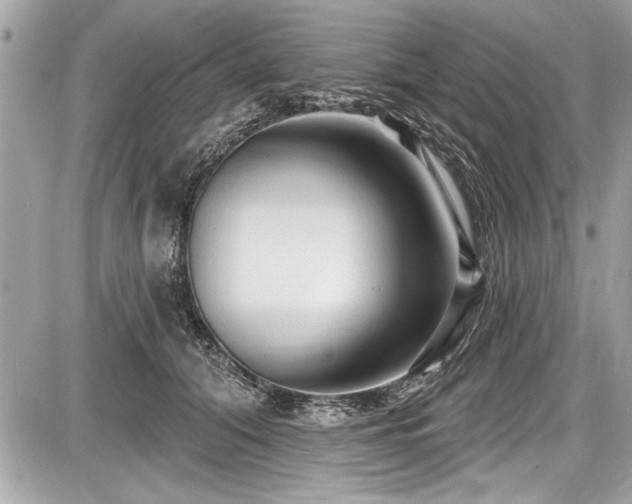 X0000087510608200705040951
