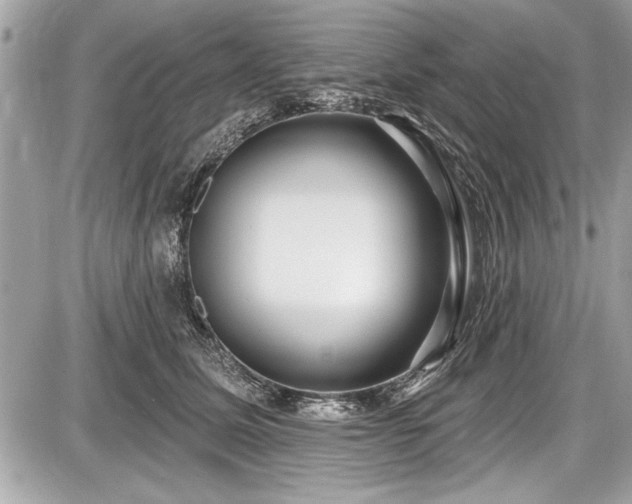 X0000087510611200705040950