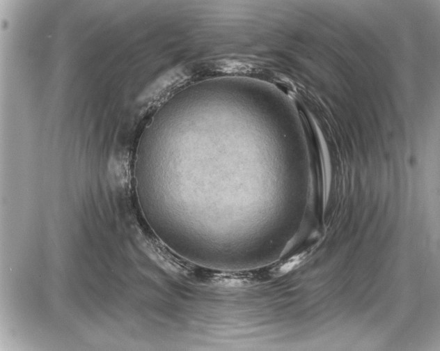 X0000087510620200705040950