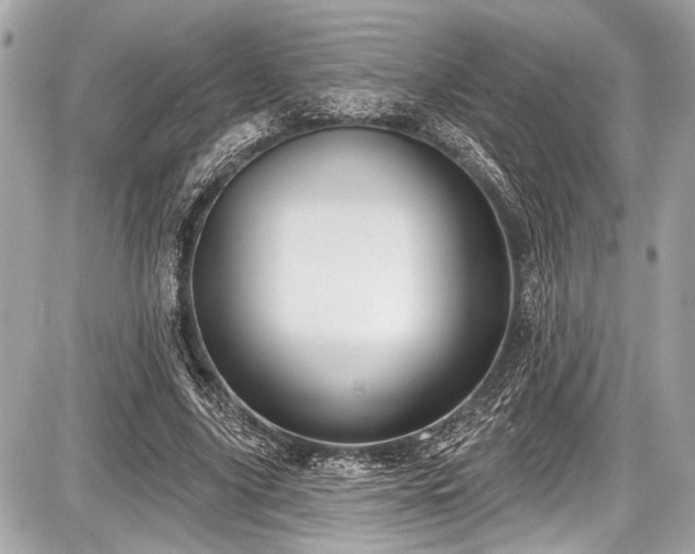 X0000087510635200705040950