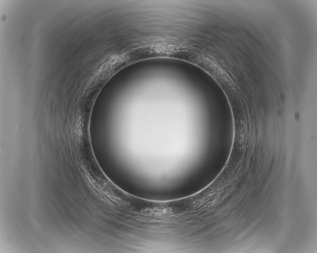 X0000087510639200705040950