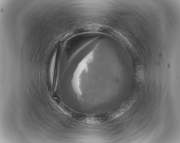 X0000087510641200705040950