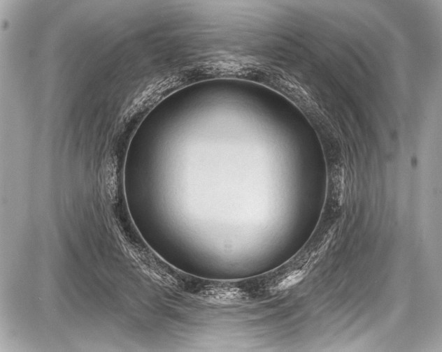 X0000087510642200705040950