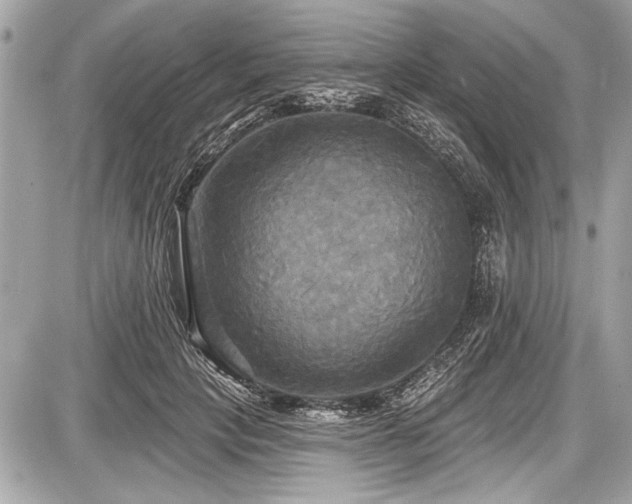 X0000087510649200705040950