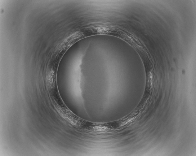 X0000087510650200705040950
