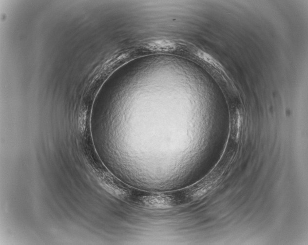 X0000087510652200705040950