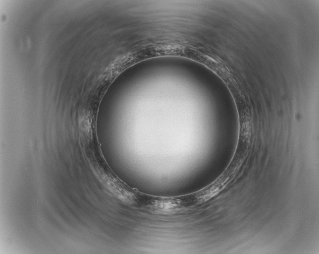 X0000087510662200705040950