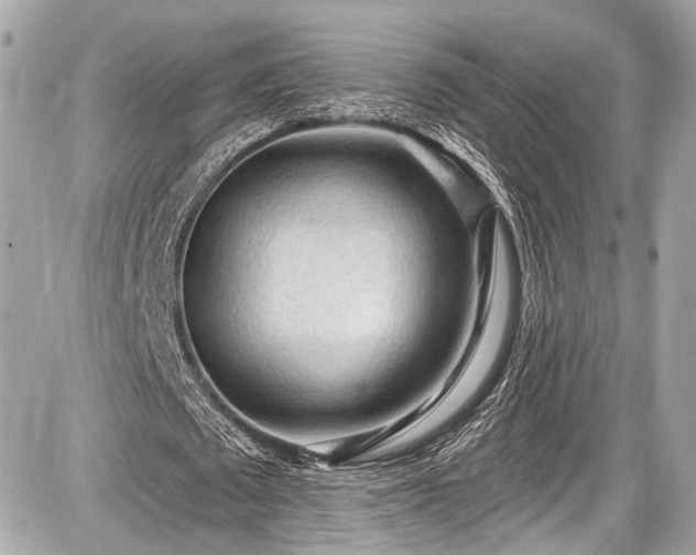 X0000087510673200705040949
