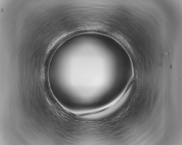 X0000087510676200705040949