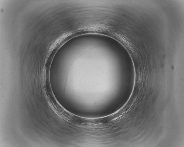 X0000087510678200705040949
