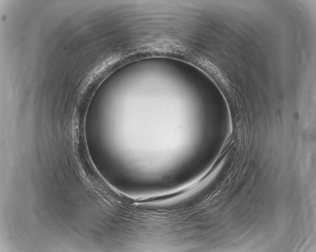 X0000087510680200705040949