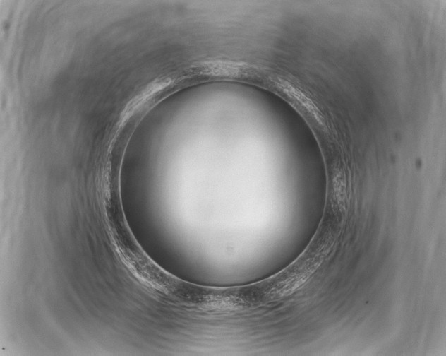 X0000087510682200705040949
