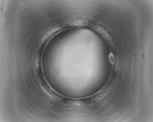X0000087510683200705040949