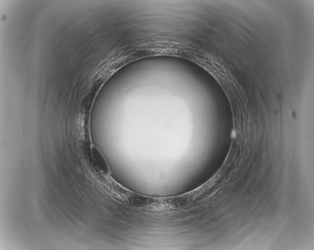 X0000087510696200705040949