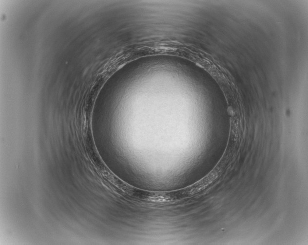 X0000087510704200705040949