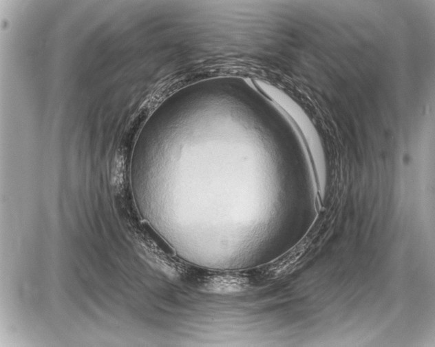 X0000087510708200705040949