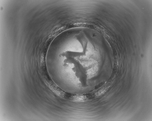 X0000087510711200705040949
