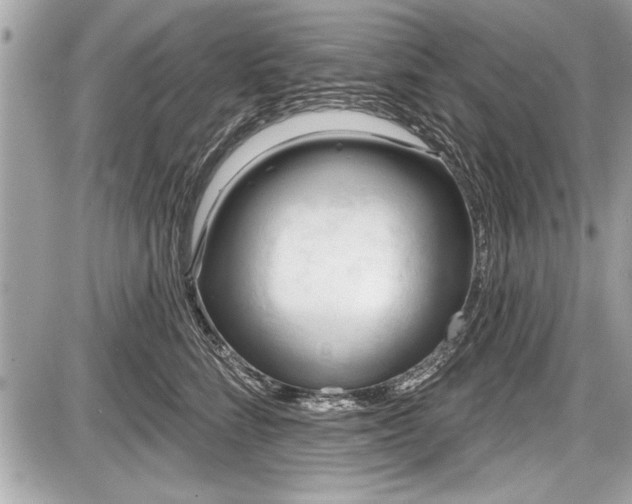 X0000087510712200705040949