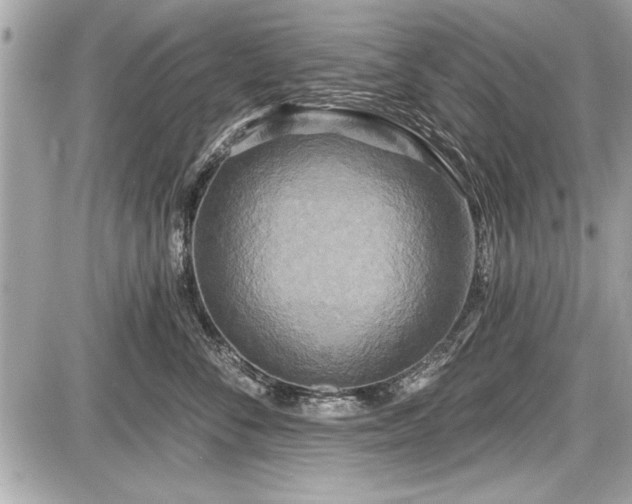 X0000087510716200705040949