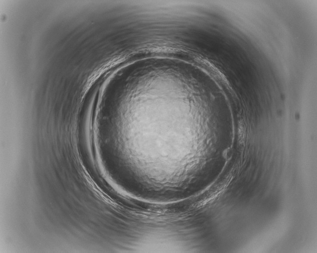 X0000087510725200705040948