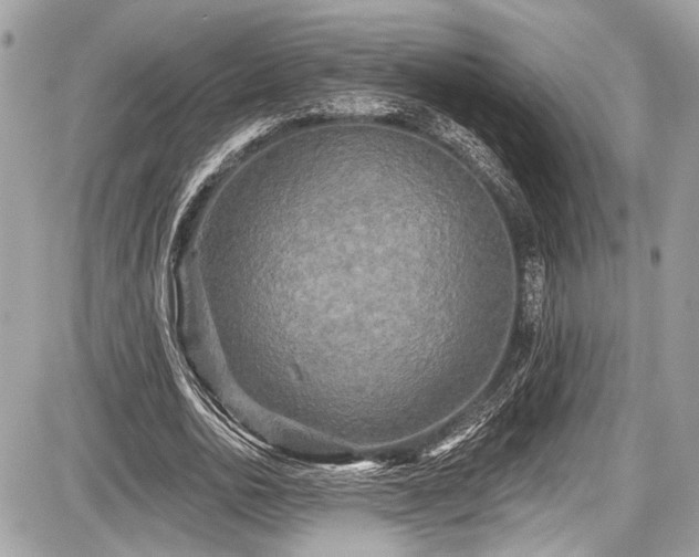 X0000087510726200705040948