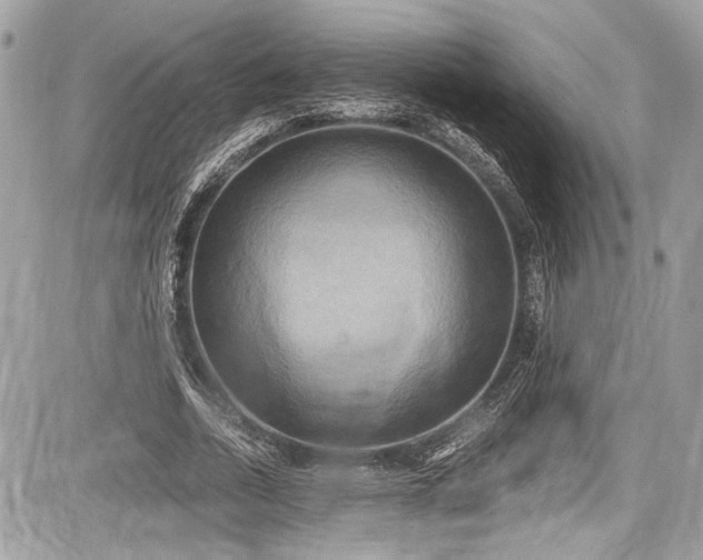 X0000087510730200705040948