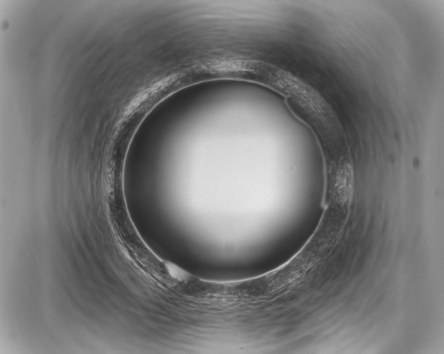 X0000087510732200705040948