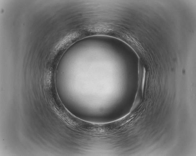 X0000087510735200705040948