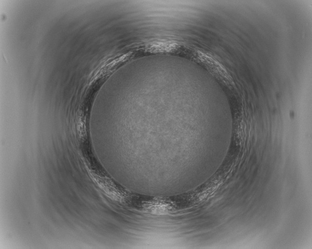 X0000087510743200705040948