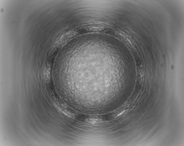 X0000087510745200705040948