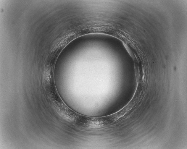 X0000087510746200705040948