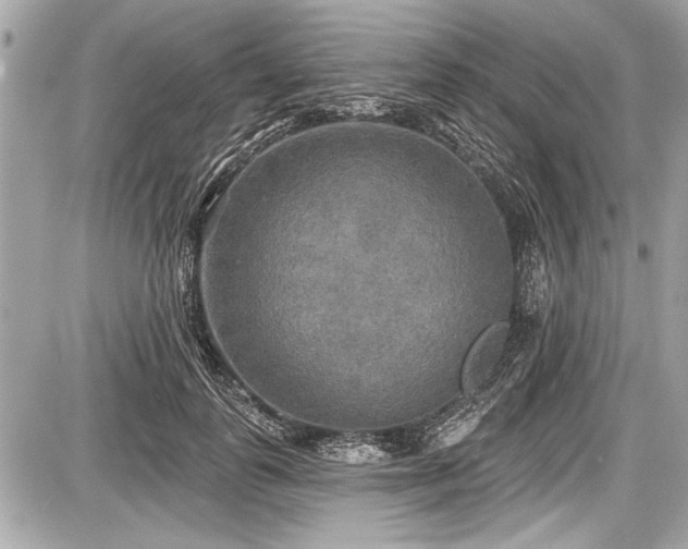 X0000087510747200705040948