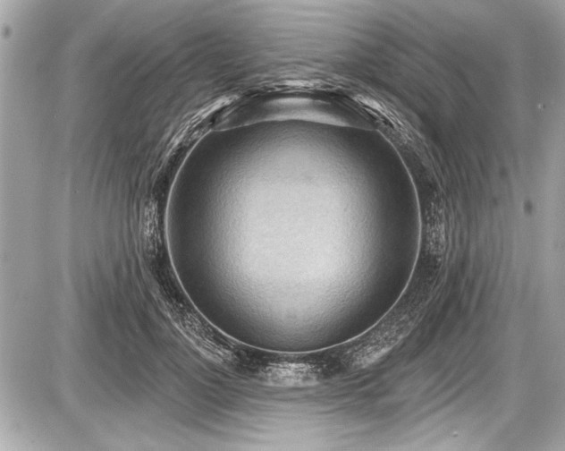 X0000087510748200705040948