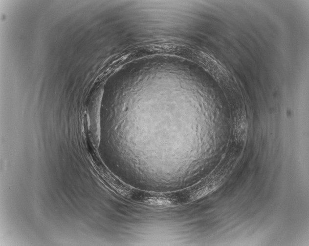 X0000087510749200705040948