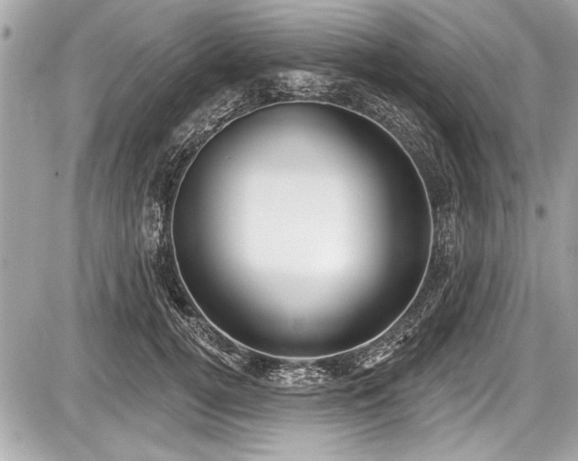 X0000087510752200705040948