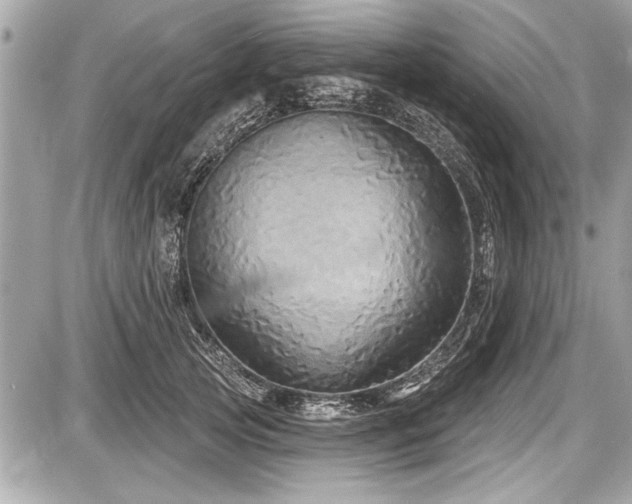 X0000087510753200705040948