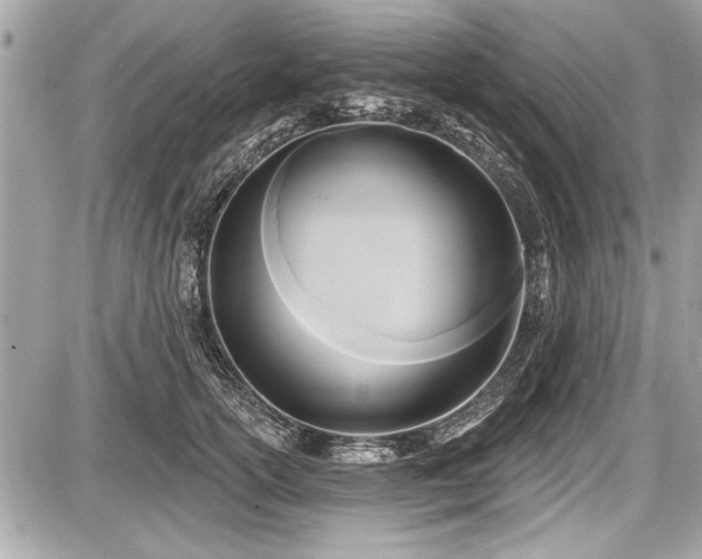 X0000087510754200705040948